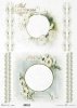 ramki, szlaczki, dekory, stokrotki, kwiaty astry, aster chiński, białe kwiaty*frames, slides, decors, daisies, asters, Chinese asters, white flowers